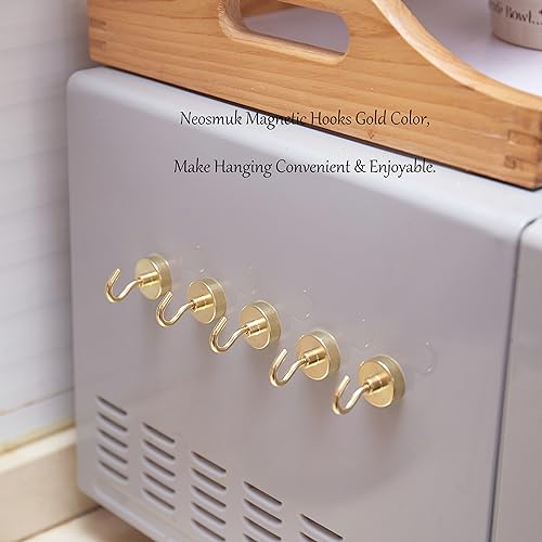 Magnetic Hooks (10 Count)