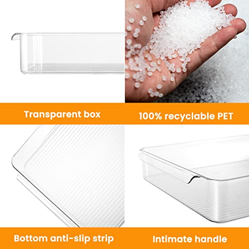 2 Pack Deli Meat Container for Fridge (Tray-L)