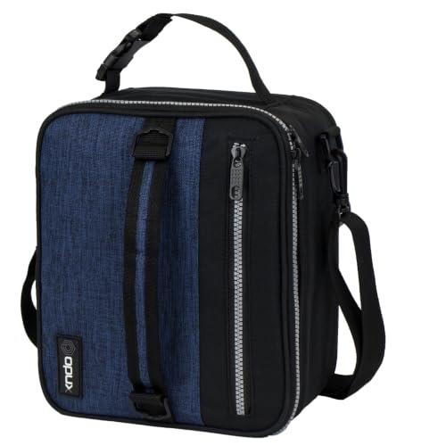 Insulated Lunch Bag for Men Women Kids