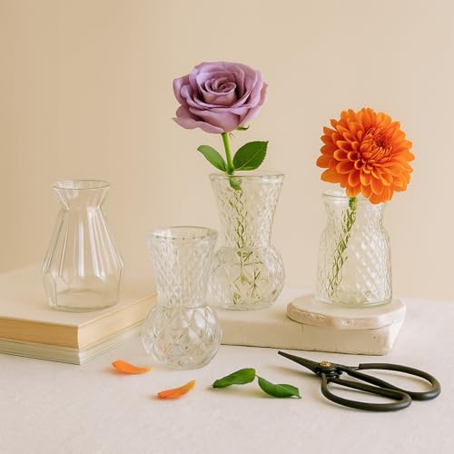 Glass Bud Vase Set of 10 Pcs