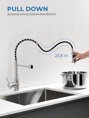 Pull Out Kitchen Faucet (Brushed Nickel)