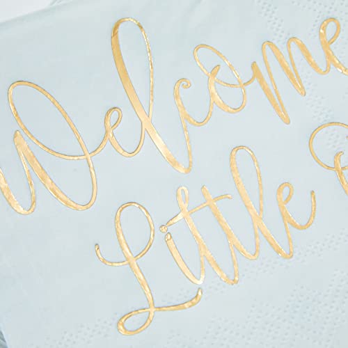 Pastel Blue Party Napkins (50 Pack)