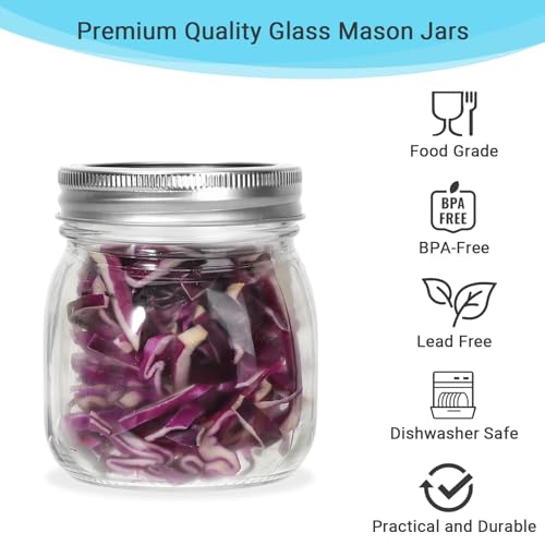 24 Pack 10 oz Clear Glass Mason Jars with Silver Metal Split Lids (10 oz - 24 Pack)