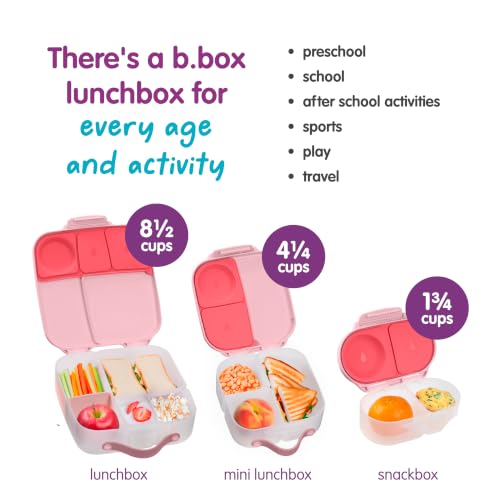 Mini Lunch Box (Flamingo Fizz / 1-pack)