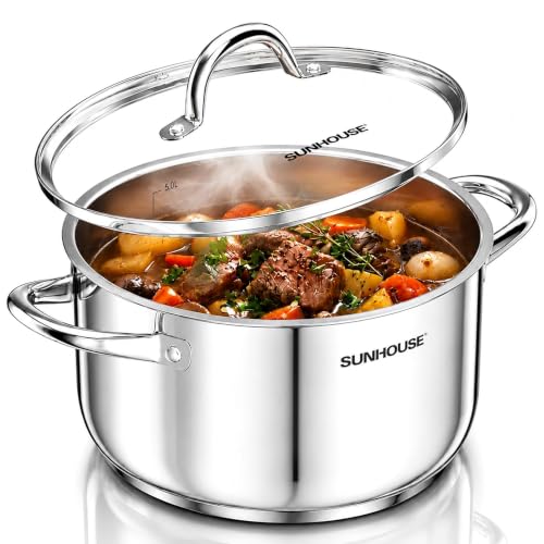 Stainless Steel Stock Pot