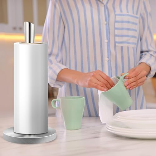 Stainless Steel Paper Towel Holder (Sliver Stainless Steel)