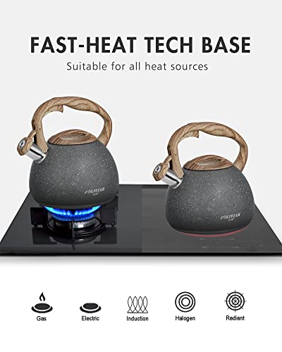 POLIVIAR Tea Kettle (2.7 Quarts / Gray)