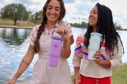 IceFlow Flip Straw Tumbler with Handle 20 oz (Plum / 20 Ounces)