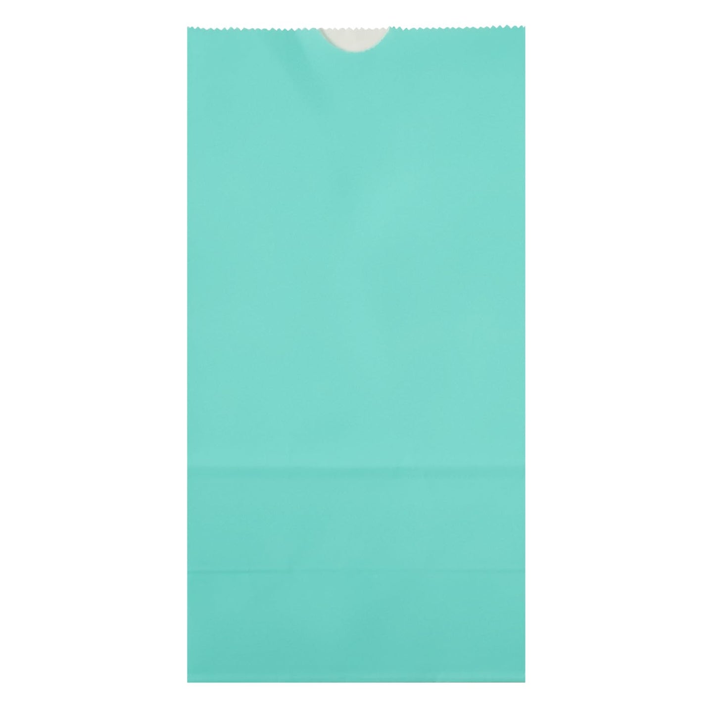 Turquoise Paper Bag (4 lb / Turquoise)