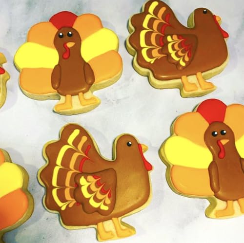 Thanksgiving Cookie Cutters Set 5Pcs Sturdy Fall Biscuit Cutters (Thanksgiving)