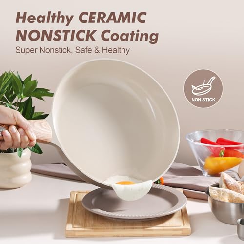 11inch Ceramic Nonstick Frying Pan Paella Pan with Lid (11 Inch / TAFFEE Taupe)