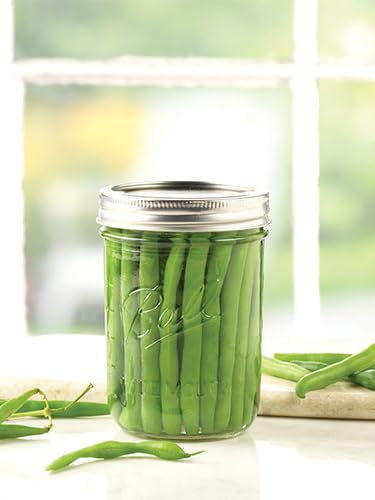 Glass Mason Jars Regular Mouth 16oz (Clear / 16 Ounce (Pack of 24))
