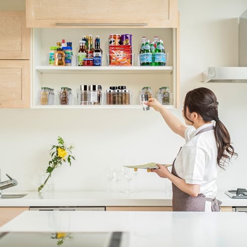 Fridge Organizers and Storage (XL / 10 Pack)