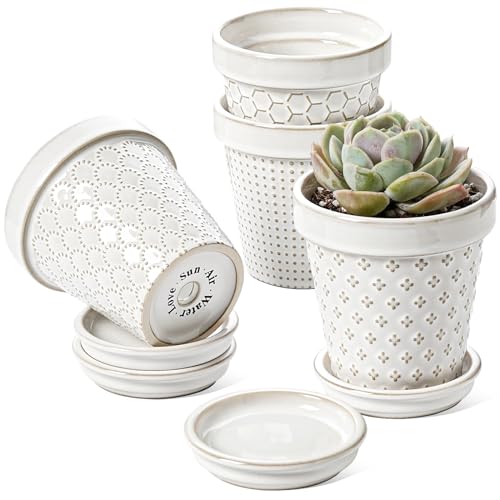 Ceramic Succulent Pots (4 inch)