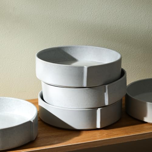 Bao 4 Piece Pasta Bowl Set Stoneware (Blue-Grey / 4-Piece - Pasta Bowl)