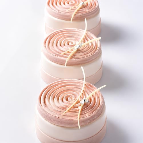 Round Spiral Silicone Mold for Baking Mousse Cake
