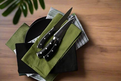 4 Piece Serrated Kitchen Steak Knife Set (Black / 4.5")