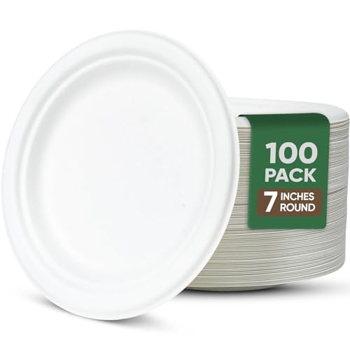 7 Inch Paper Plate 100 Pack White Disposable (White / 7 IN)