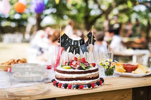 Sturdy Clear Plastic Plates 10" Party Plates 100 Pcs (10 inch / Clear)