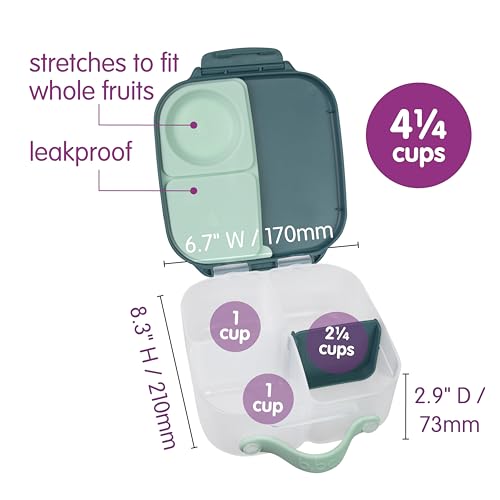 Mini Lunch Box