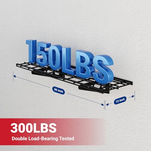1 Pack 1x3ft Garage Shelving Wall (1 pack-1x3 ft / Black)
