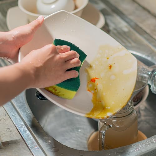 Kitchen Cleaning Sponges (24 Count)