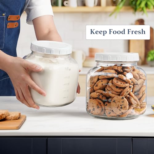 0.8Gal Glass Jar with Lid (0.8 Gallon)
