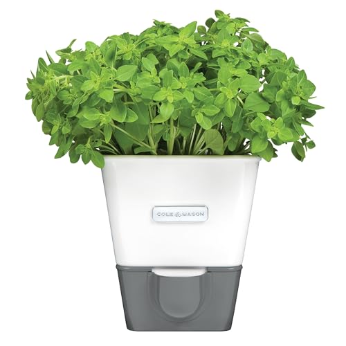 Self Water Herb Keeper (1 Count)