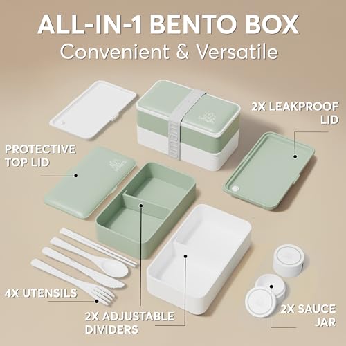 Bento Box Adult All (M - 40 oz / Green)