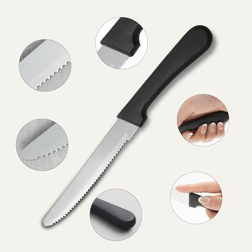 36 PCS Steak Knife Set (36PCS Steak Knife)