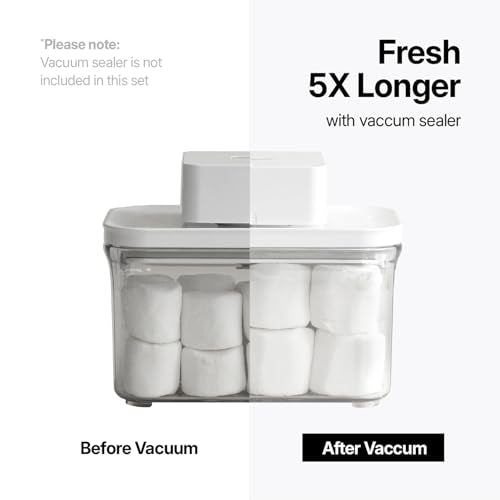Premium Airtight Food Storage Containers (MINI SQUARE 0.8LX2PCS)