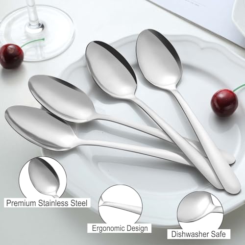 Dinner Spoons (24P 7.4'' Silver Dinner Spoons)