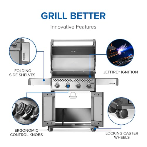 Rogue 525 4 Burner Propane Grill (Rogue 525 Propane Stainless Steel / Rogue 525)