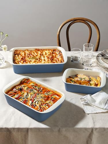 Ceramic Casserole Dishes for Oven with 304 Racks