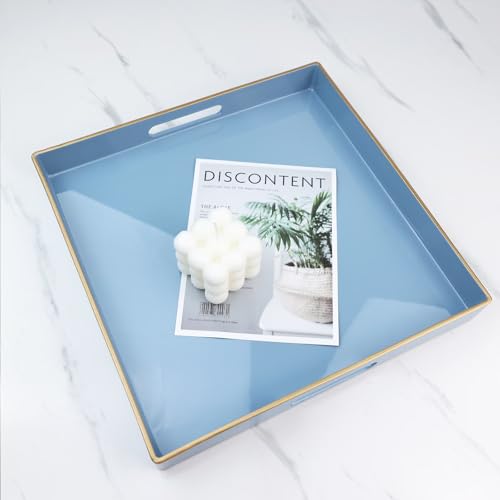 Light Blue Decorative Tray for Living Room (Bs002r)