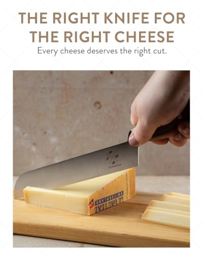 Professional Cheese Knife
