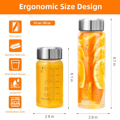 Glass Juice Bottles 4 Pack 20 oz (4-Pack / 20 oz/600 ml)