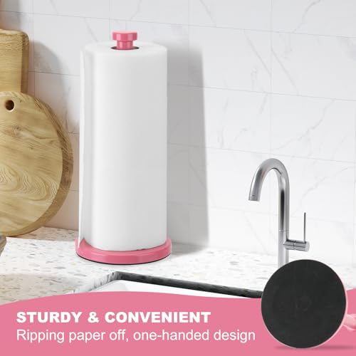 Stainless Steel Paper Towel Holder