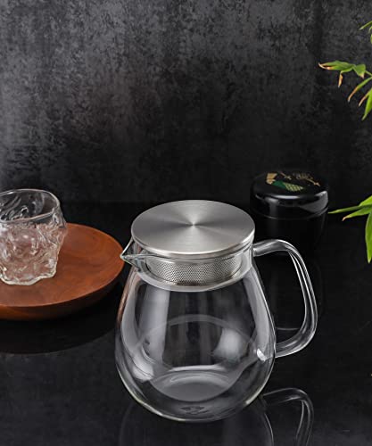 Glass Teapot with Removable Stainless Steel Filter Lid Stovetop & Microwave Safe Borosilicate Glass Kettle for Loose Leaf (24OZ)