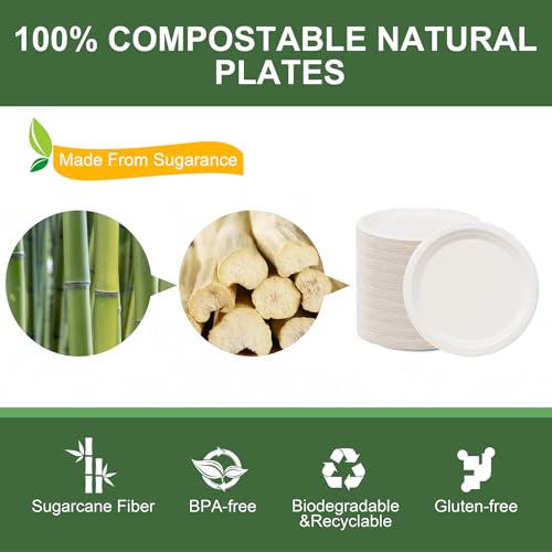 Paper Plates 9 Inch 125 (White / 9Inch（125 PCS）)