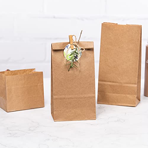 Bag Tek 2 LB Disposable Lunch Bags 100 Sturdy Take Out Bags (2 lb / Kraft)