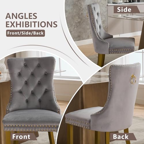 Grey Velvet Dining Chairs Set of 2 (Standard Gray)