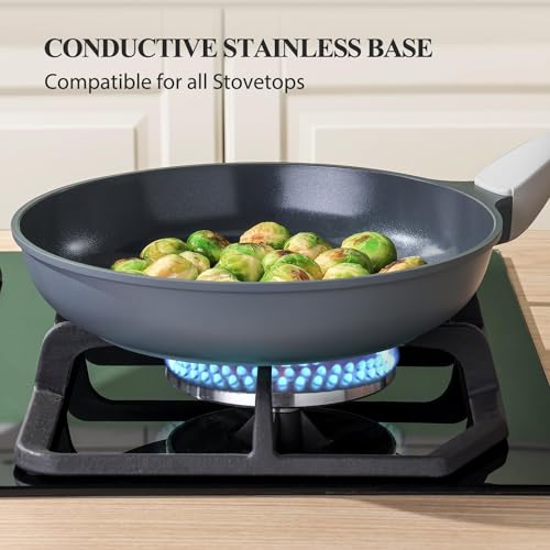 Nonstick Ceramic Frying Pan with Lid (8" W/Lid / Gray)