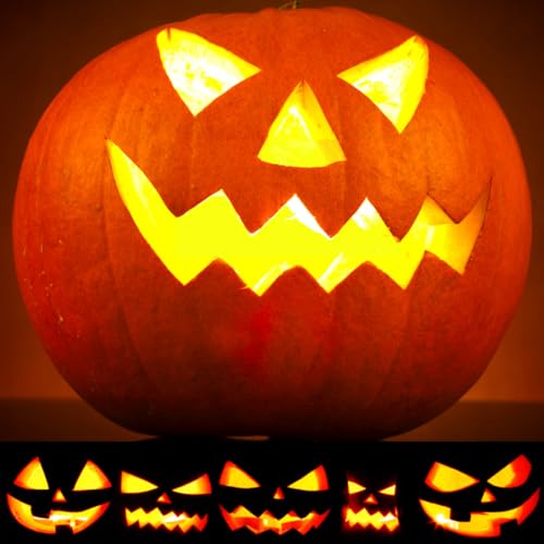 Pumpkin Carving Kit 22Pcs Tools (Pumpkin Carving Set)