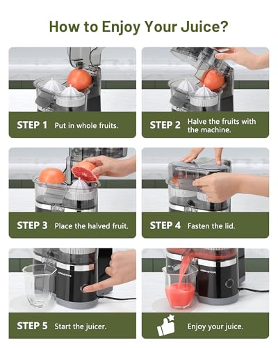Electric Citrus Juicer