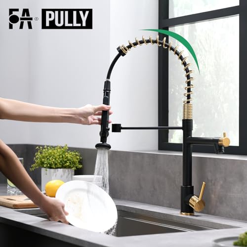 Black&Gold Kitchen Faucet with Sprayer (Black&Gold)