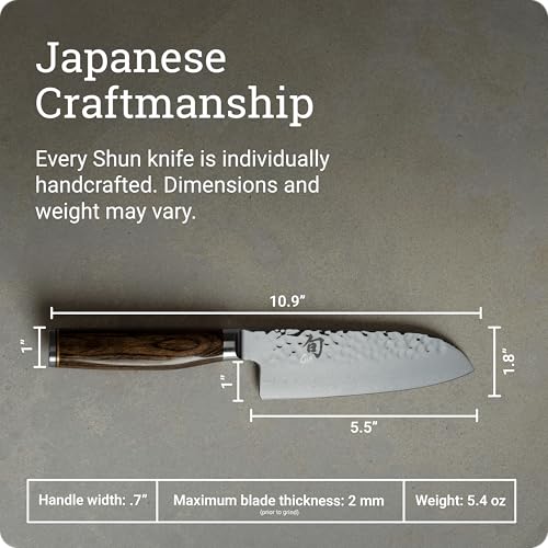 Premier 5.5" Santoku Knife (Silver / 5.5")