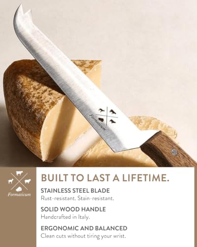 Professional Tasting Cheese Knife
