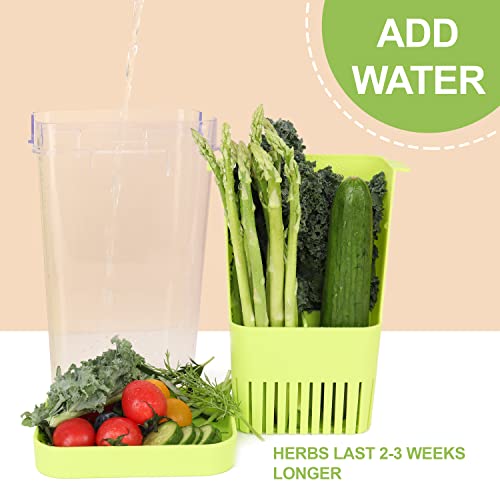 3 Pack Herb Keeper (Herb Keeper - Green & Orange & Blue)