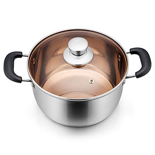 6 Qt Stockpot with Lid (6 Quarts)